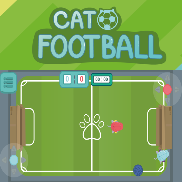 cat-football